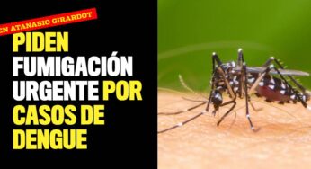 Piden fumigación urgente por casos de dengue en el barrio Atanasio Girardot