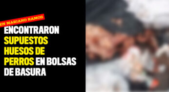 Encontraron supuestos huesos de perros en bolsas de basura