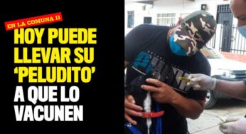 Jornada de vacunación para perros y gatos en la Comuna 11