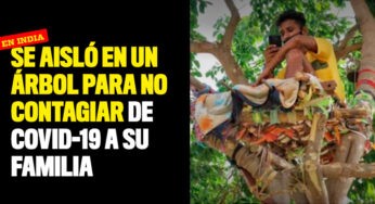 Se aisló en un árbol para no contagiar a su familia de covid-19