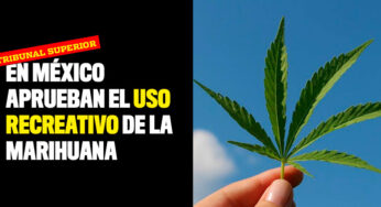 En México aprueban el uso recreativo de la marihuana