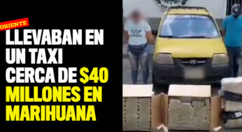 Llevaban en un taxi cerca de $40 millones en marihuana