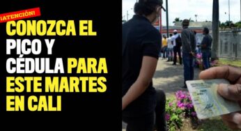 Este es el pico y cédula en Cali para este martes, 13 de julio