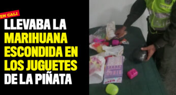 Llevaba la marihuana escondida en los juguetes de la piñata