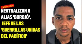 Neutralizan a alias 'Borojó', jefe de las 'Guerrillas Unidas del Pacífico'
