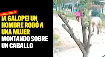¡A galope! Un hombre robó a una mujer montando sobre un caballo