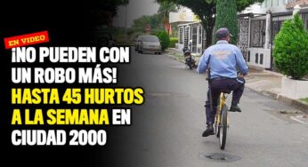 ¡No pueden con un robo más! Hasta 45 hurtos a la semana en Ciudad 2000