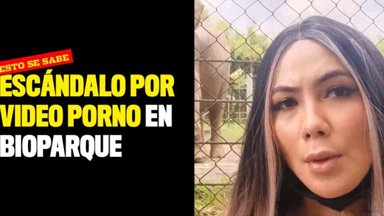 VIDEO: Escándalo por video porno en Bioparque de Pereira