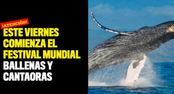 Este viernes comienza el Festival Mundial Ballenas y Cantaoras