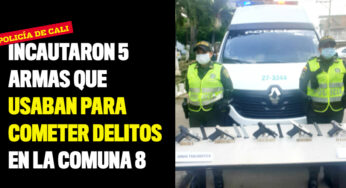 Incautaron 5 armas que usaban para cometer delitos en la comuna 8