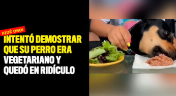Intentó demostrar que su perro era vegetariano y quedó en ridículo