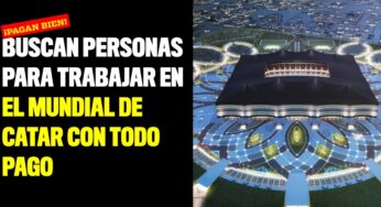 Buscan personas para trabajar en Catar en el Mundial con todo pago