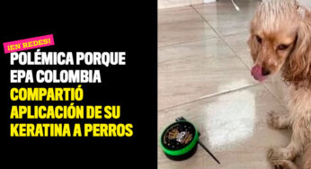 Polémica porque Epa Colombia compartió aplicación de su keratina a perros