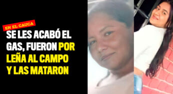 Se les acabó el gas, fueron por leña al campo y las mataron