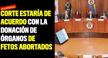 Corte estaría de acuerdo con la donación de órganos de fetos abortados