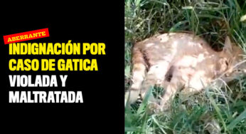 indignación por caso de gatica violada y maltratada