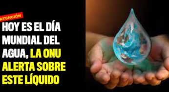 Hoy es el Día Mundial del Agua, la ONU alerta sobre el grave estado de este líquido
