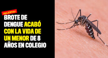 Brote de dengue acabó con la vida de un menor de 8 años en colegio del sur