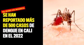 Se han reportado más de 500 casos de dengue en Cali en el 2022