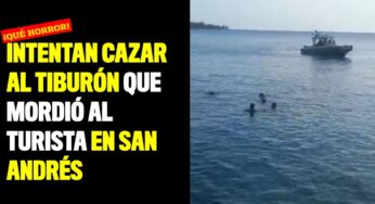Intentan cazar al tiburón que mordió al turista en San Andrés