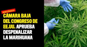 Cámara Baja del Congreso de EE.UU. aprueba despenalizar la marihuana