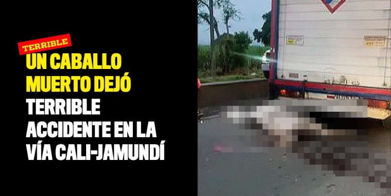 Un Caballo Muerto Dejó Terrible Accidente En La Vía Cali Jamundí 4155