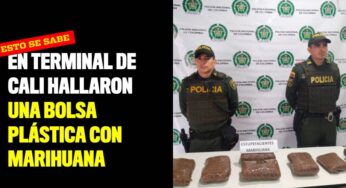 En Terminal de Cali hallaron una bolsa plástica con marihuana