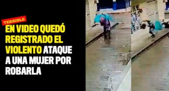 En video quedó registrado el violento ataque a una mujer por robarla