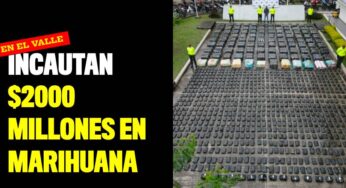 Incautan en el Valle $2000 millones en marihuana