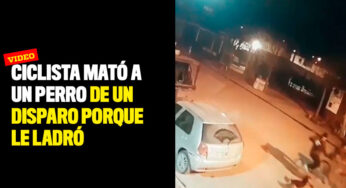Ciclista mató a un perro de un disparo porque le ladró