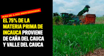 El 75% de la materia prima de Incauca proviene de caña del Cauca y Valle del Cauca
