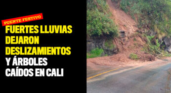 Fuertes lluvias dejaron inundaciones, deslizamientos y árboles caídos en Cali