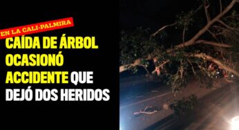 Caída de árbol ocasionó accidente que dejó dos heridos en la Cali-Palmira