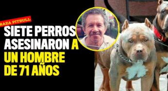 Siete perros asesinaron a un hombre de 71 años