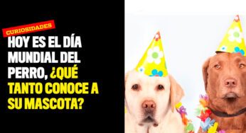 Hoy es el Día Mundial del Perro, ¿qué tanto conoce de su mascota?