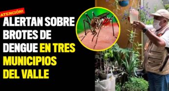 Alertan sobre brotes de dengue en tres municipios del Valle