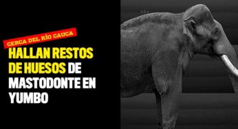Hallan restos de huesos de mastodonte en Yumbo, Valle