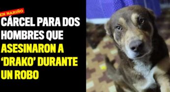 Cárcel para dos hombres que asesinaron a ‘Drako’ durante un robo