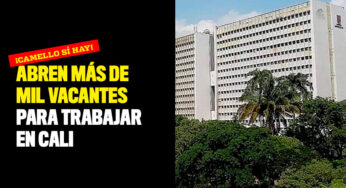 ¡Camello sí hay! Abren más de mil vacantes para trabajar en Cali