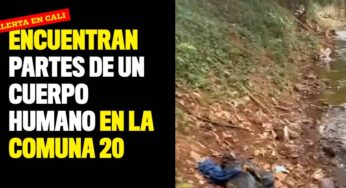 Encuentran partes de un cuerpo humano en la comuna 20 de Cali