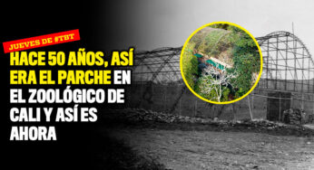 Hace 50 años, así era el parche en el Zoológico de Cali y así es ahora