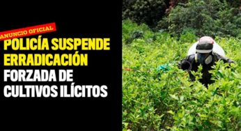 Policía suspende erradicación forzada de cultivos ilícitos