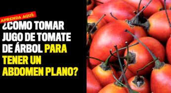 Aprenda cómo tomar jugo de tomate de árbol para tener un abdomen plano