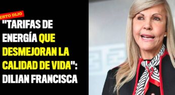 "Tarifas de energía que desmejoran la calidad de vida": Dilian Francisca Toro
