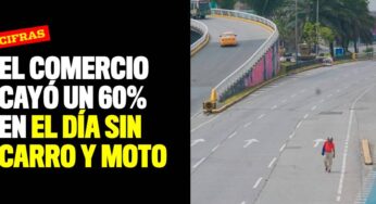 El comercio cayó un 60% en el día sin carro y moto