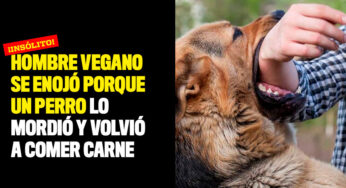 Hombre vegano se enojó porque un perro lo mordió y volvió a comer carne