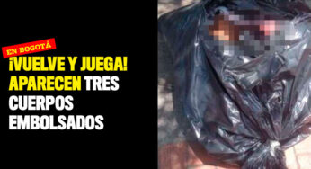 ¡Vuelve y juega! Aparecen tres cuerpos embolsados