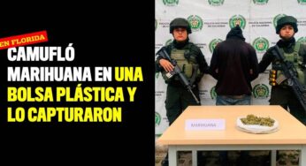 Camufló marihuana en una bolsa plástica y lo capturaron