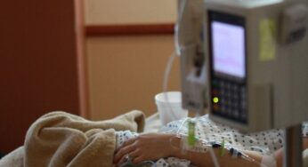 OMS publicó primera lista de hongos más peligrosos para la salud humana