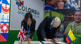 Alemania y Noruega anuncian 25 millones de dólares para salvar la selva amazónica